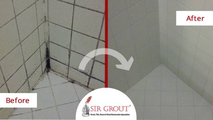 Mold Or Mildew In Shower Differbetween, How To Clean Mold In Bathroom Grout