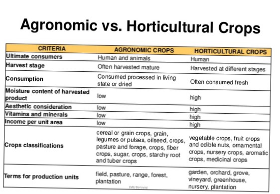 Diferencia de horticultura agronomía